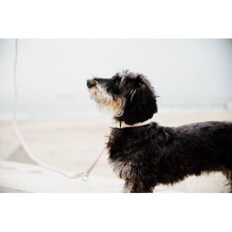 Wool Korte Kentucky Hondendeken