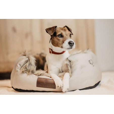 Hondenmand Cave Kentucky