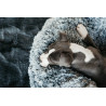 Comfortabele hondenmand Donut Kentucky - Grijs