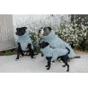Winterjas voor hond Pina Kentucky - Poederblauw