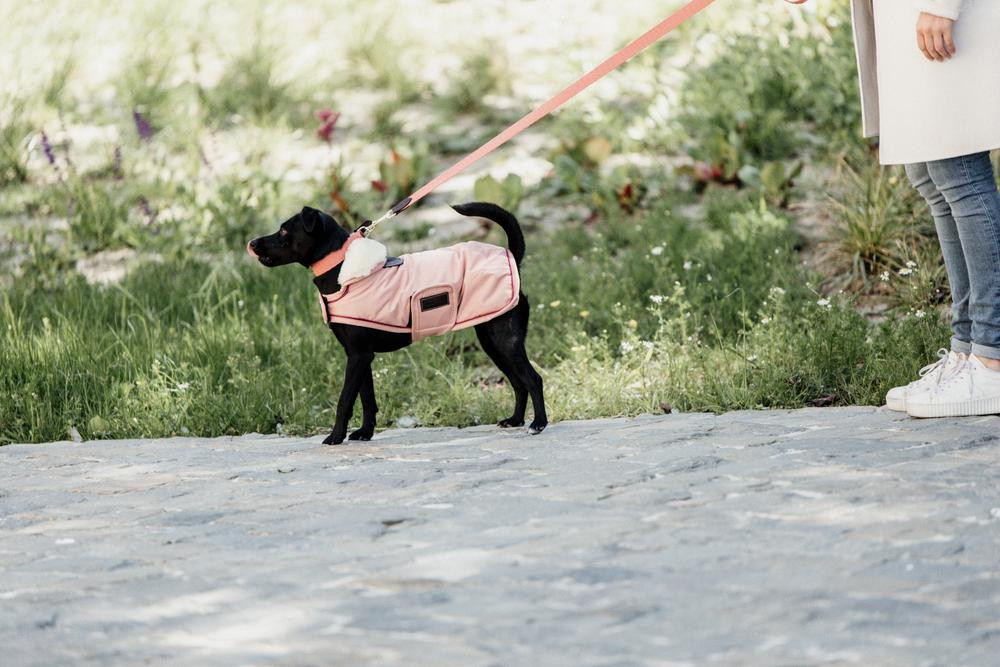 Manteau pour chien Imperméable 160g Kentucky Corail Rouge Manteau pour chien Imperméable 160g Kentucky Corail Rouge