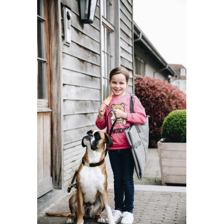 Hondenbed Travel In Style Kentucky