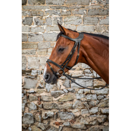 Hoofdstel Différence D Collectie van Dy'on