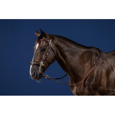 Bridon Hackamore US Collectie van Dy'on