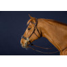 Bridon Hackamore D Collection by Dy'on - Brun