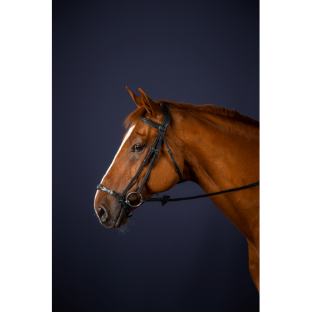 Halster Duitse Neusriem Verstelbaar New English Collection by Dy'on