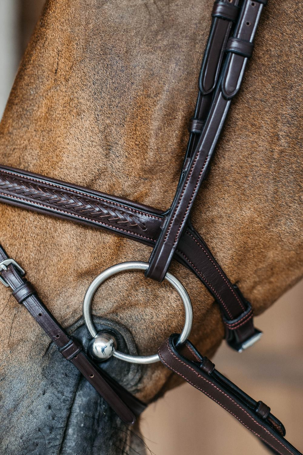 Bridon muserolle combinée tressé New English Collection by Dy'on Brun Marron Bridon muserolle combinée tressé New English Collection by Dy'on Brun Marron