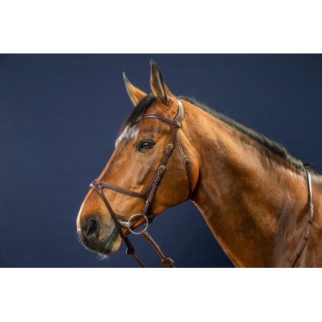 Bridon X-Fit D Collectie van Dy'on