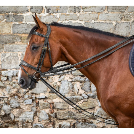 Duitse teugels Full Leather 1/2 D Collection by Dy'on