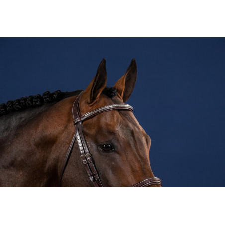 Frontaal Rechts Clincher Zilverkleurig US Collectie by Dy'on