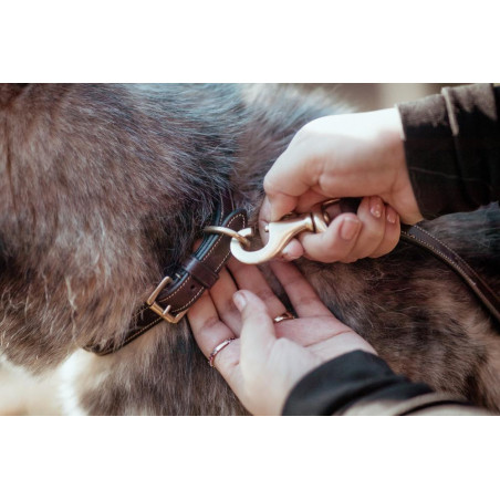 Halsband Voor Hond Met Decoratieve Stiksels Dy'on