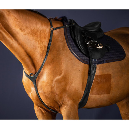 Jachtborsttuig met Martingaal New English Collection by Dy'on