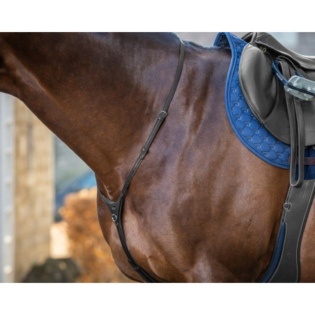 Yoke New English Collection by Dy'on