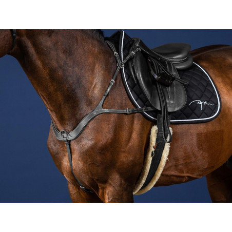 Anatomisch Jachtborsttuig US Collection by Dy'on