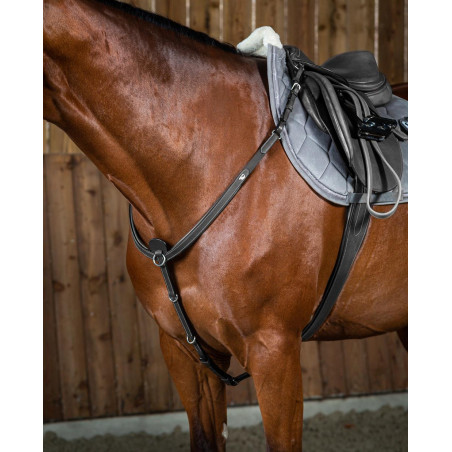 Jachtmartingaal Working By Dy'on