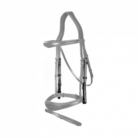 Bitten US Collection by Dy'on