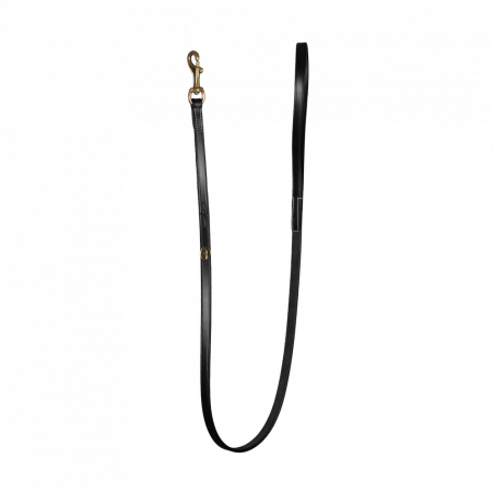 Laisse Pour Chien Classique Dy'on