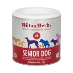 Senior dog Hilton Herbs