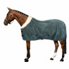Imperial Riding Ambient Galaxy polar fleece deken - Saliegroen