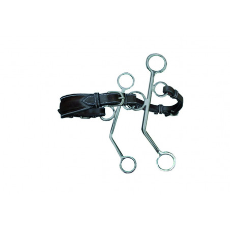 Hackamore Jump'In leer lange takken