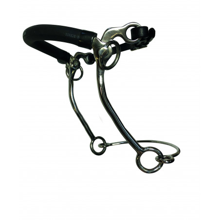 Hackamore Jump'In Ringen