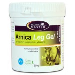 Arnica Beenengel Horse Master