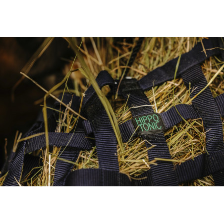 Hooinet Hippotonic Riem