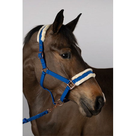 Halster en Longe Harcour Holly