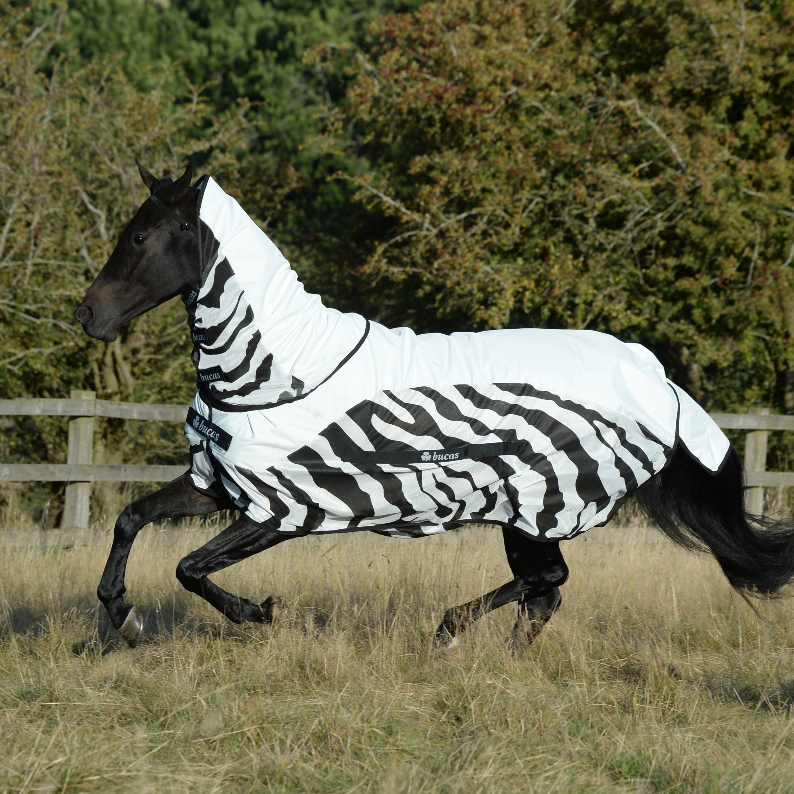 Couverture anti-mouches Bucas Buzz-Off Rain Zebra avec couvre-cou Couverture anti-mouches Bucas Buzz-Off Rain Zebra avec couvre-cou