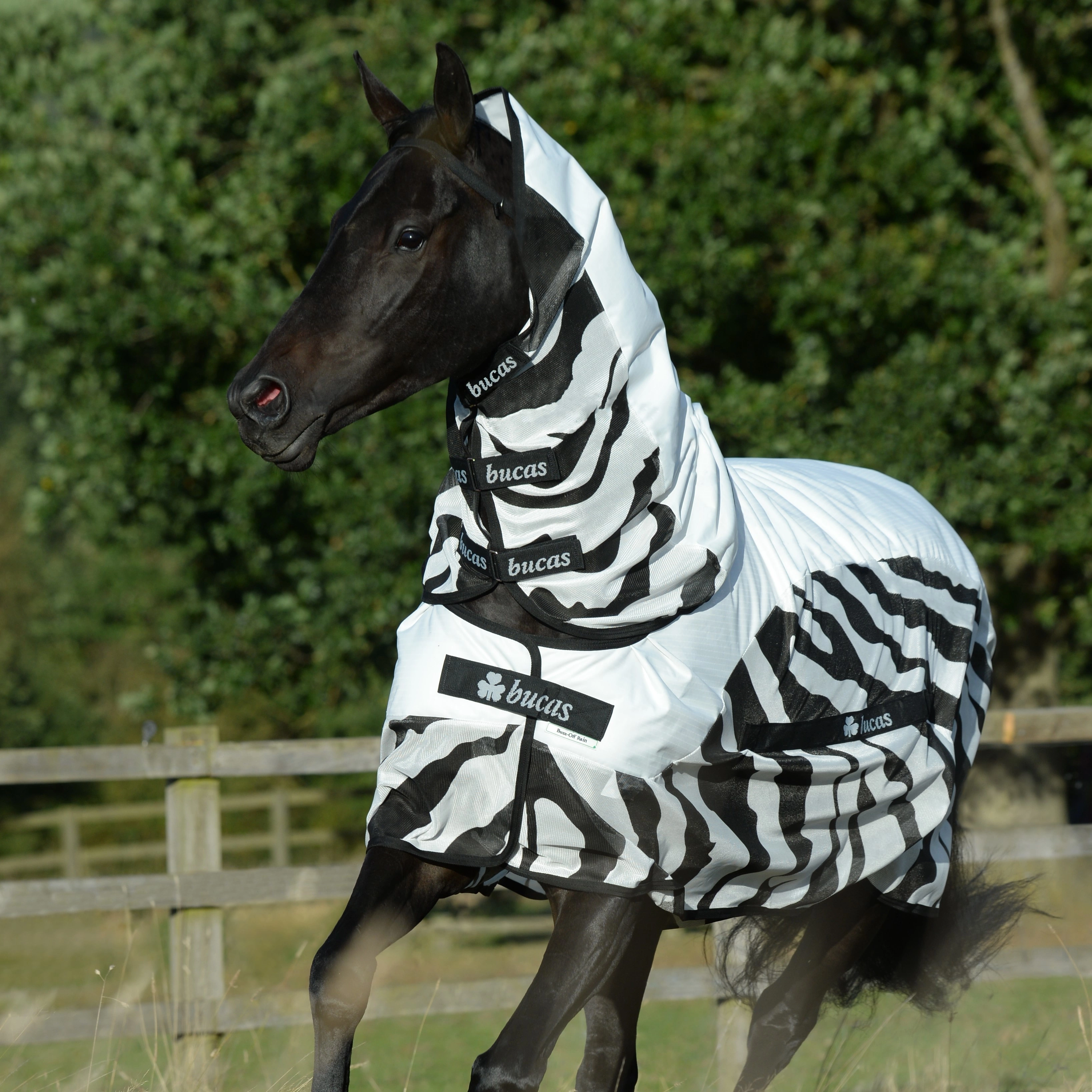 Couverture anti-mouches Bucas Buzz-Off Rain Zebra avec couvre-cou Couverture anti-mouches Bucas Buzz-Off Rain Zebra avec couvre-cou
