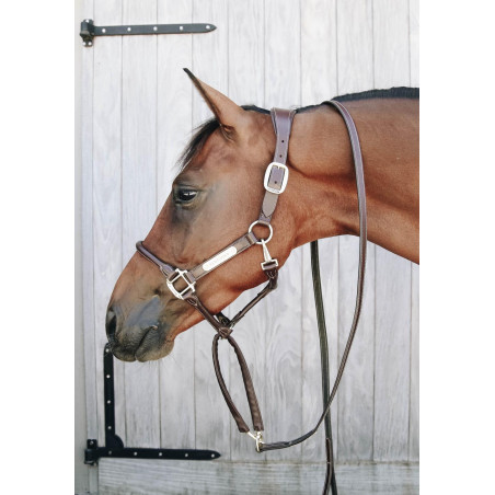 Lijn en presentatieketting van leer Kentucky