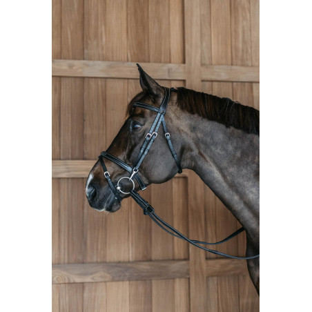 Combinatie Neusriem met Bakstukken en Musketons Working by Dy'on