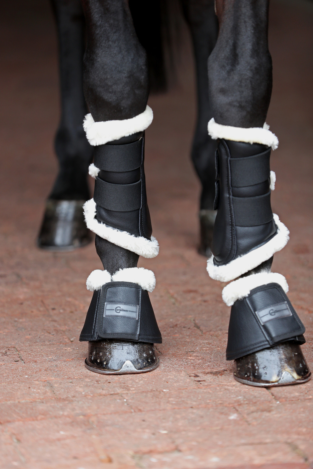 Cloches de protection Pelisa Covalliero Blanc