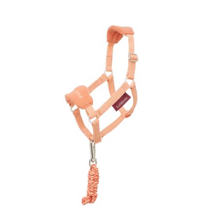 Halster voor hobby horse LeMieux
