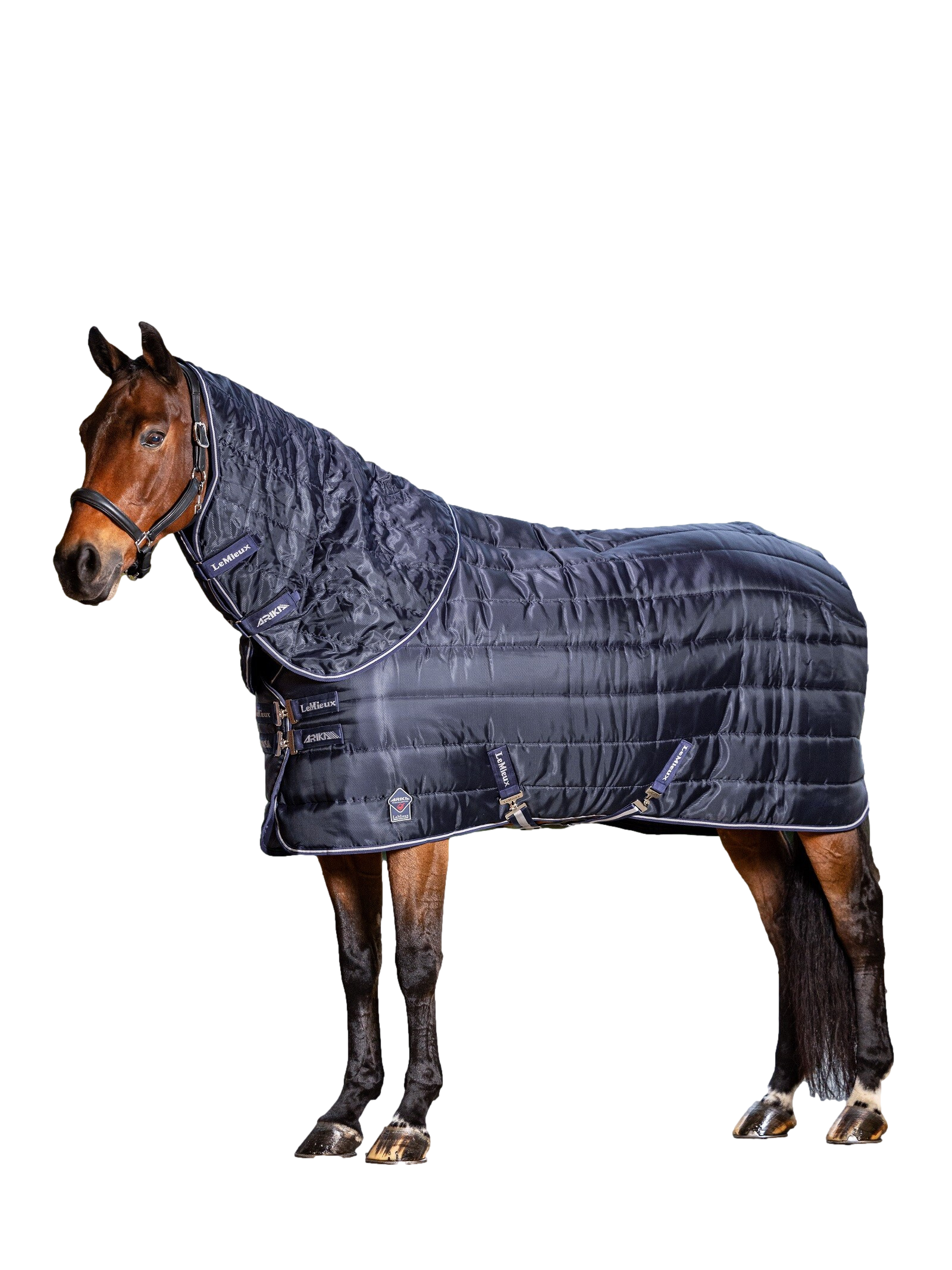 Couvre-cou Arika Stable-Tek 100 g LeMieux