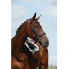 Bridon Collegiate hoofdstel Syntovia+ - Zwart