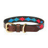 Collier pour chien Weatherbeeta cuir Polo - Marron beaufort / émeraude / rose / bleu