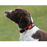 Collier pour chien Weatherbeeta Therapy-Tec - Noir / rouge