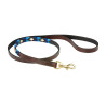 Weerbestendige leren hondenhalsband Polo - Marron cowdray / blauw / blauw