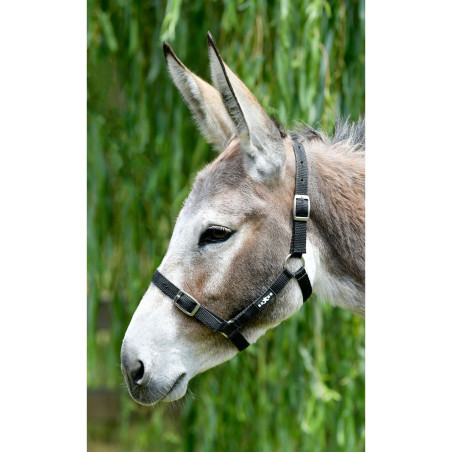 Economische Saxon halster