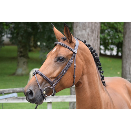 Bridon Thursday muserolle combinée Jump'In week