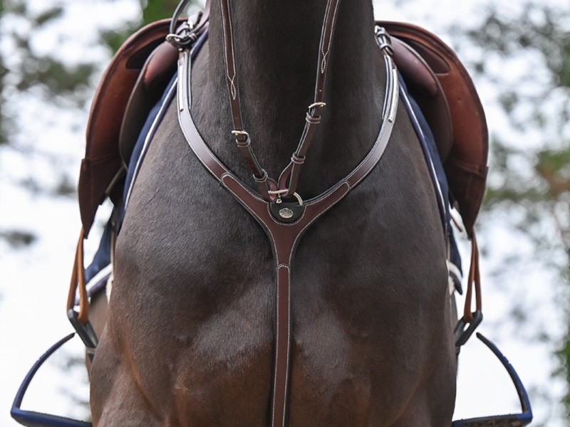 Borsttuig Clincher en martingaal Jump'In One Premium Noisette Borsttuig Clincher en martingaal Jump'In One Premium Noisette