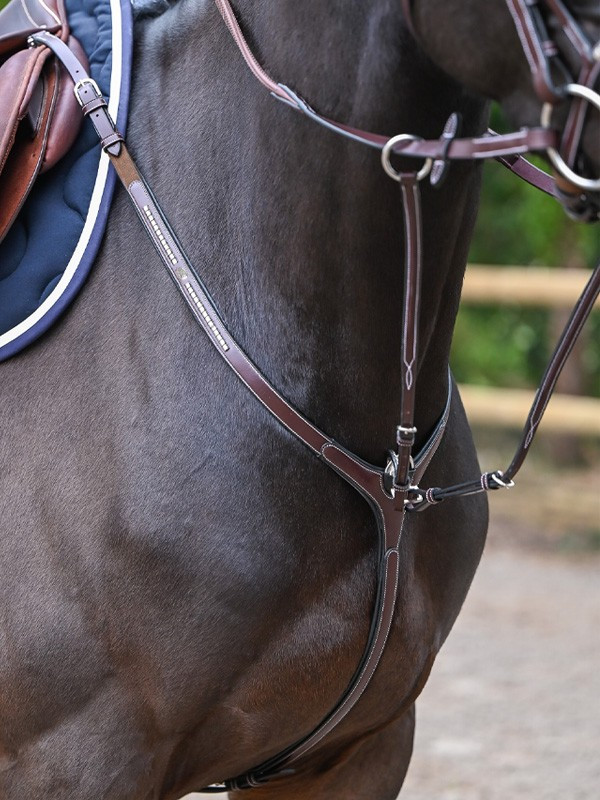 Borsttuig Clincher en martingaal Jump'In One Premium Noisette Borsttuig Clincher en martingaal Jump'In One Premium Noisette