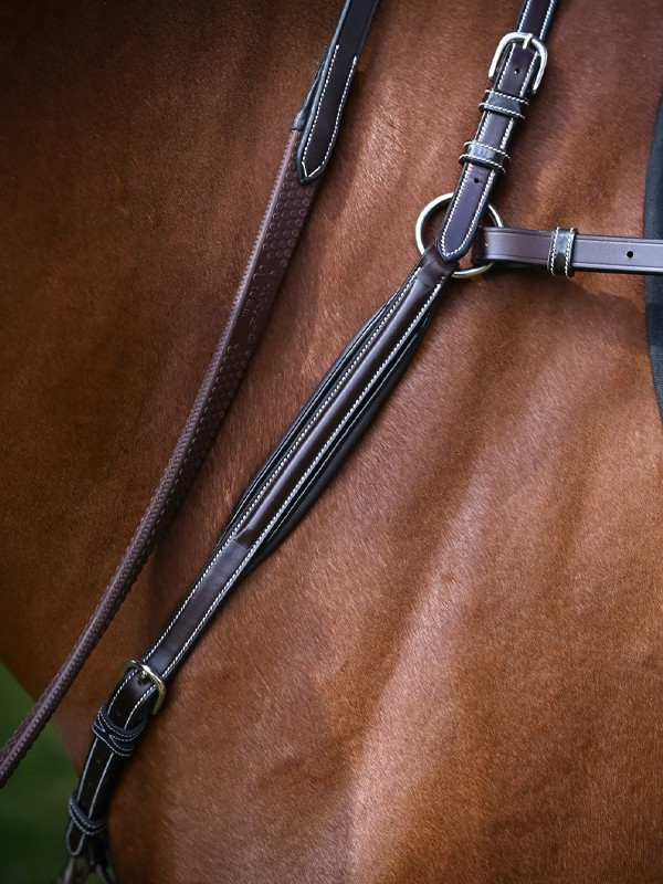 Borsttuig Wednesday Jump'In week Havana Bruin Borsttuig Wednesday Jump'In week Havana Bruin