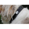 Collier pour chien Jump'In - Noir