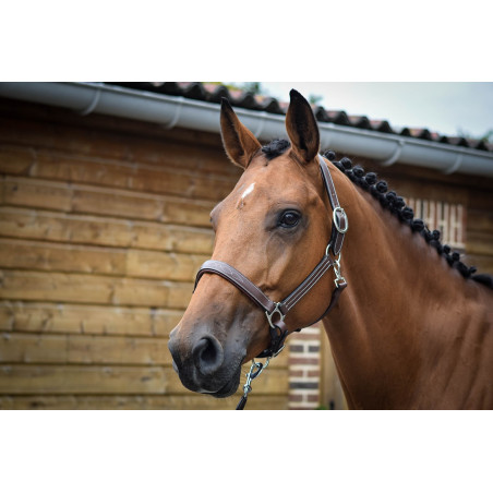 Halter Fancy Jump'In One