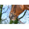 Duitse neusriem met ketting Jump'In Week - Mahonie