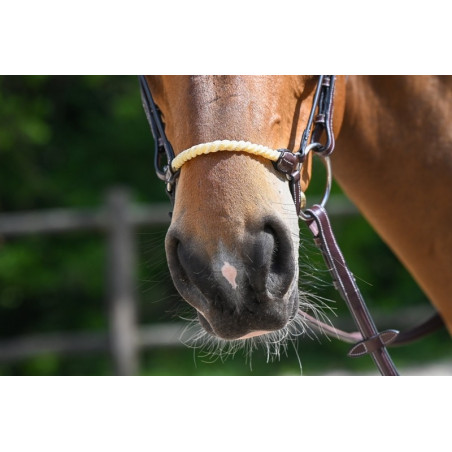 Duitse neusriem touw Jump'In Week