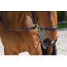 Hackamore neusriem Jump'In - Havana