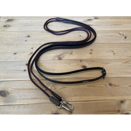 Duitse teugels Jump'In